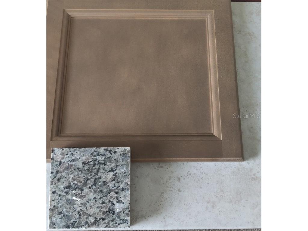 5497 Ocean Breeze Drive Spring Hill FL 34609 OM708752 image8