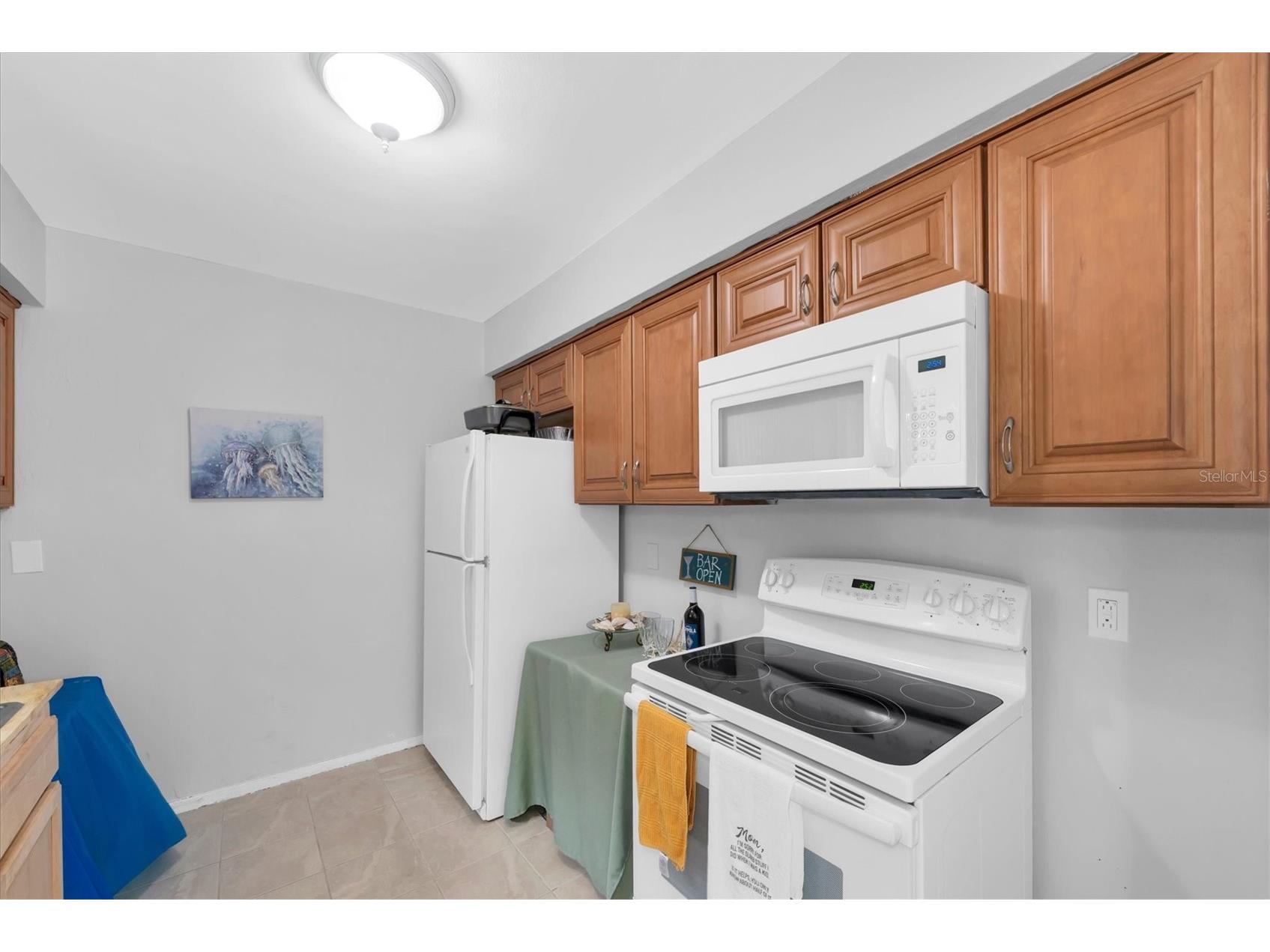 55 A Dolphin Drive Treasure Island FL 33706 TB8515656 image16