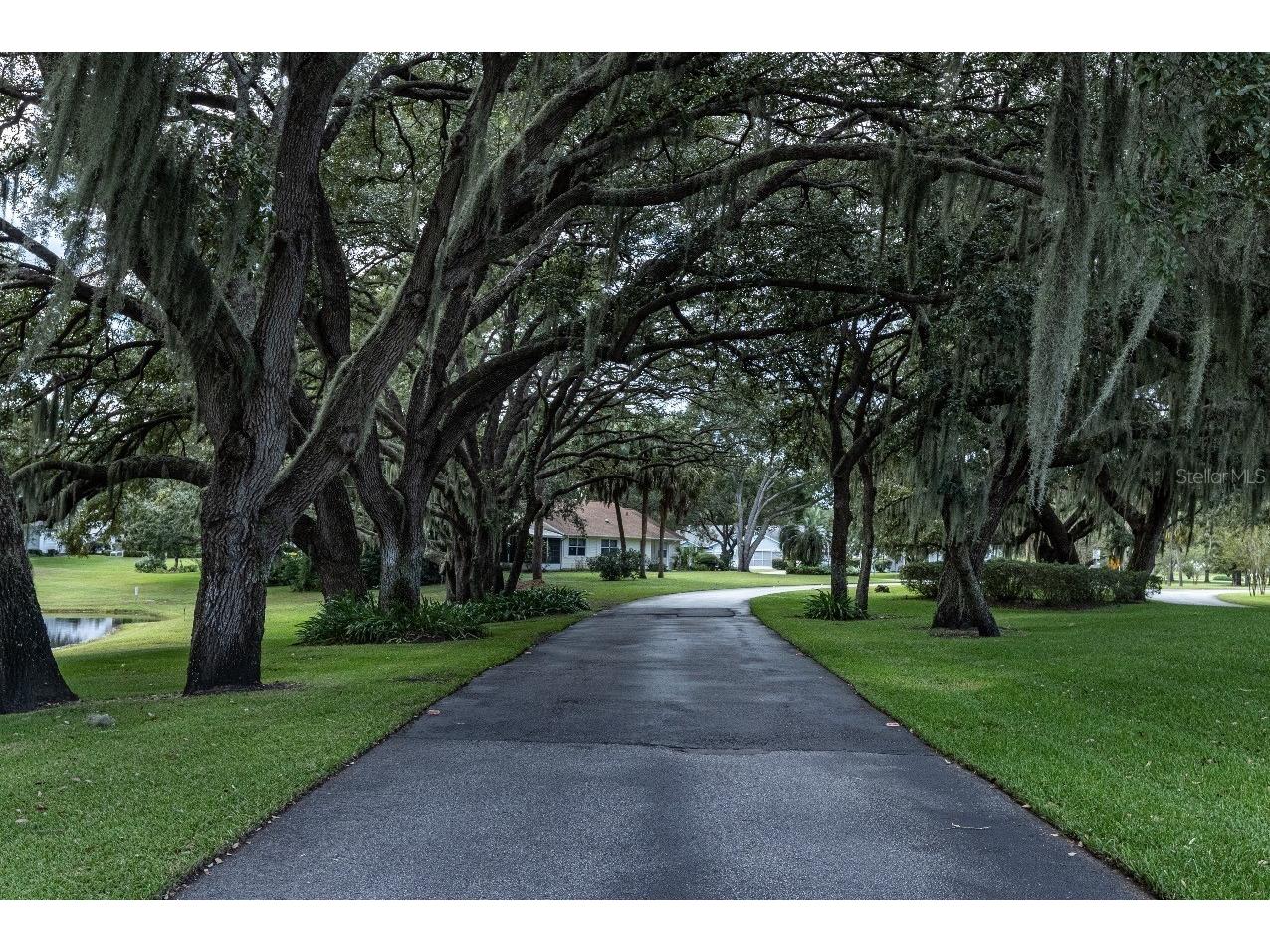 55 Aberdeen Circle Leesburg FL 34788 G5106911 image33