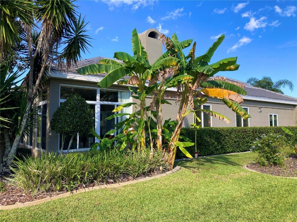 55 Bay Pointe Drive Ormond Beach FL 32174 FC313984 image66