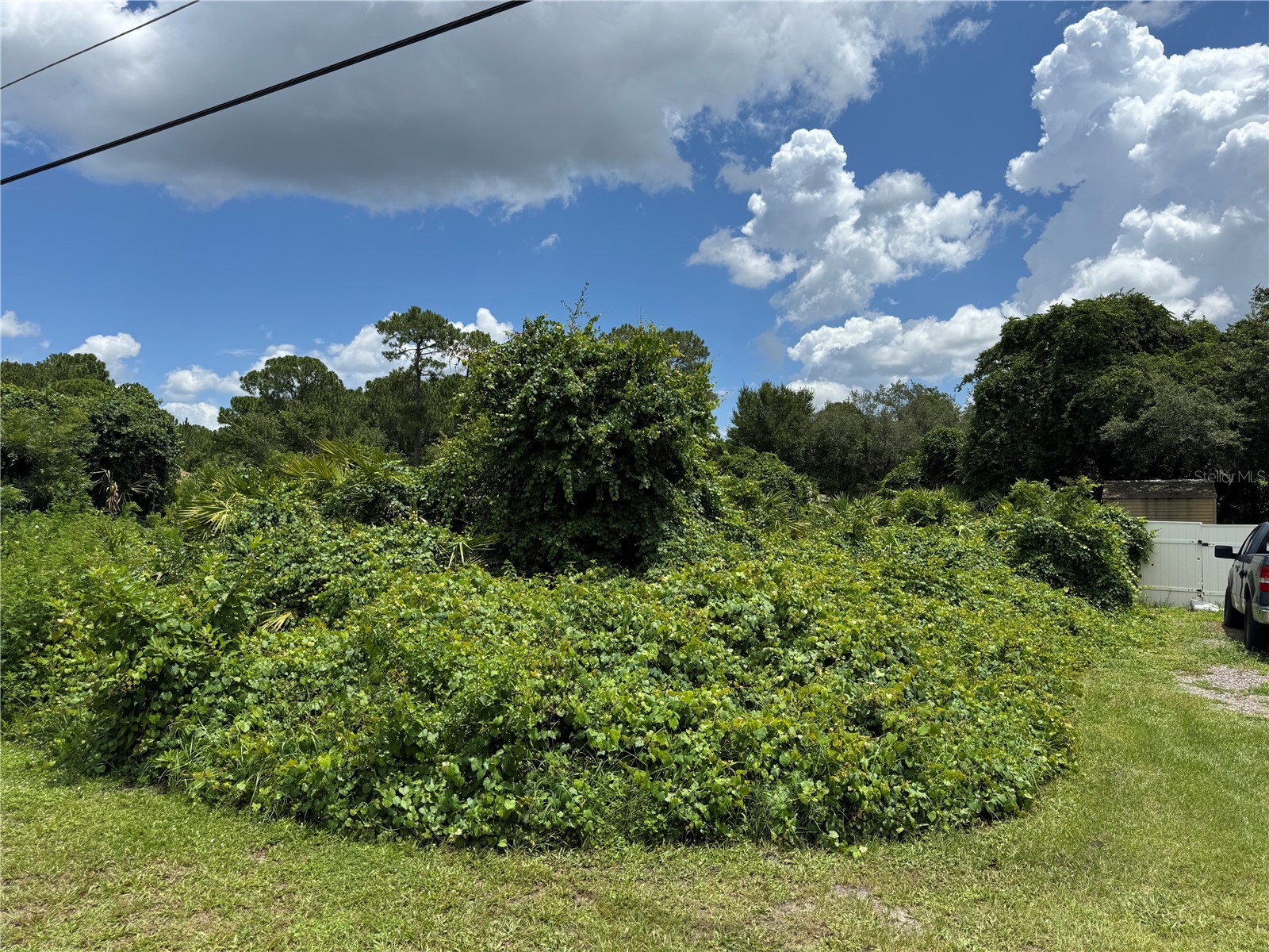 55 Craycroft Avenue Debary FL 32713 V4950255 image5