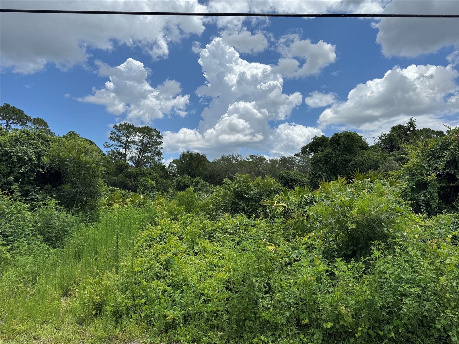 55 Craycroft Avenue Debary FL 32713 V4950255 image6