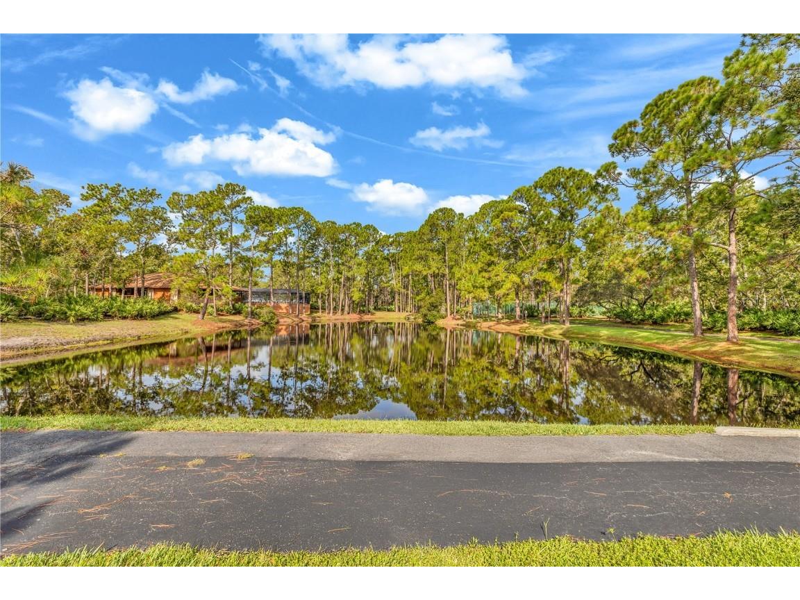 55 Crooked Pine Road Port Orange FL 32128 V4944694 image4