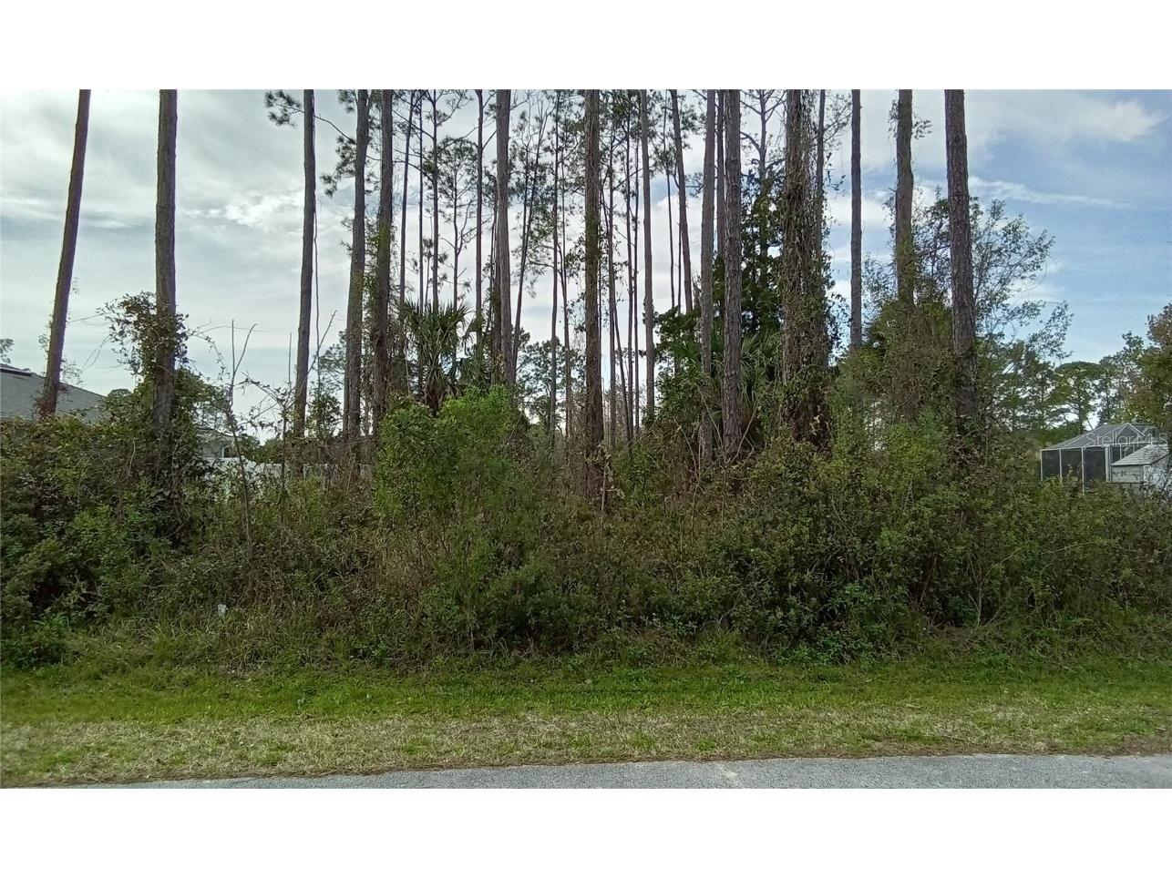 55 Eagle Harbor Trail Palm Coast FL 32164 OM676279 image1