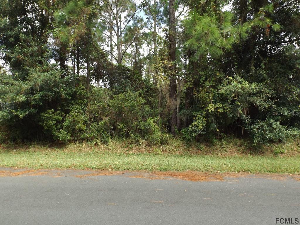 55 Foxhall Lane Palm Coast FL 32137 FC271902 image2