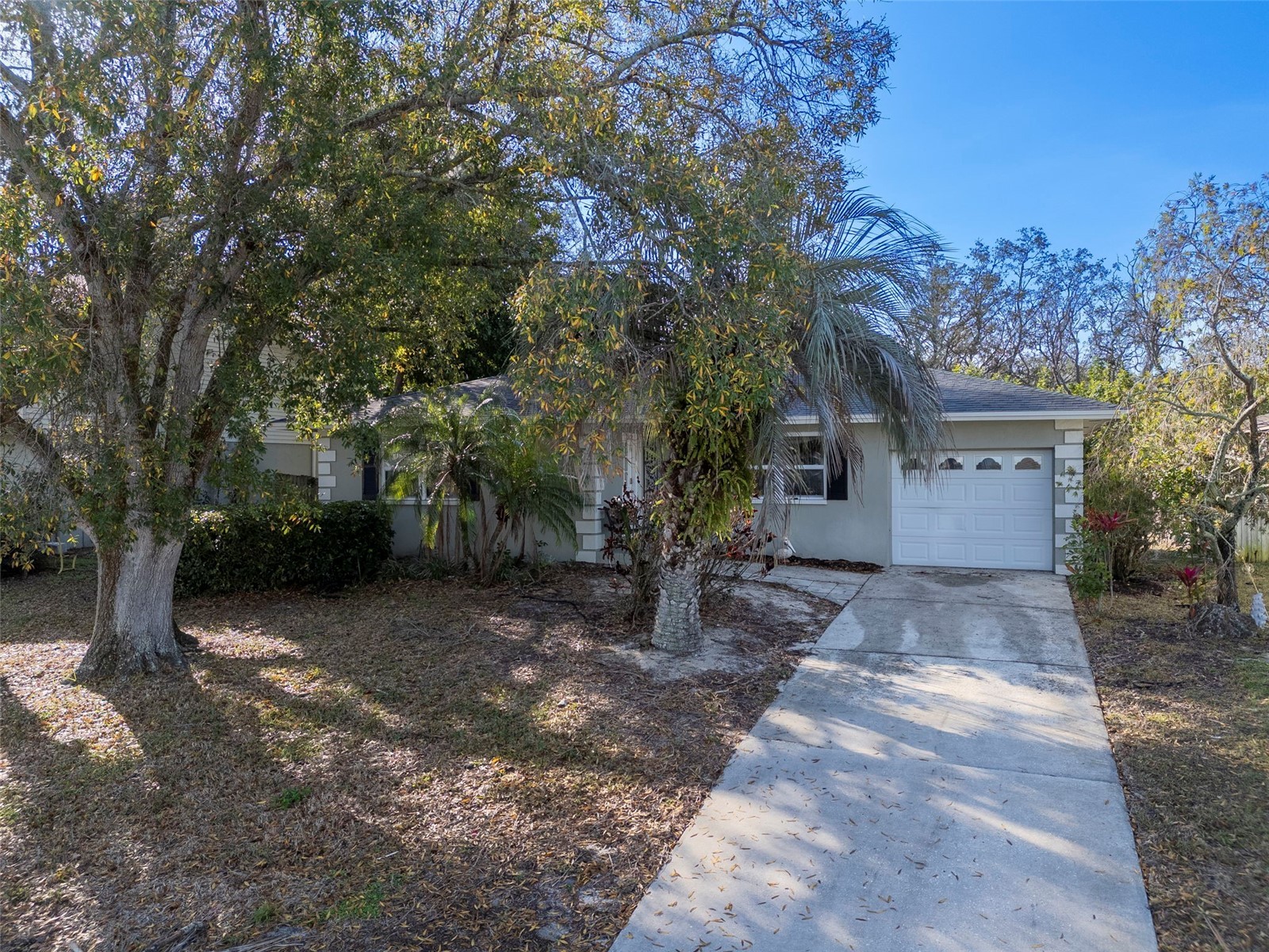 55 Gulfwinds Drive Palm Harbor FL 34683 TB8479031 image1