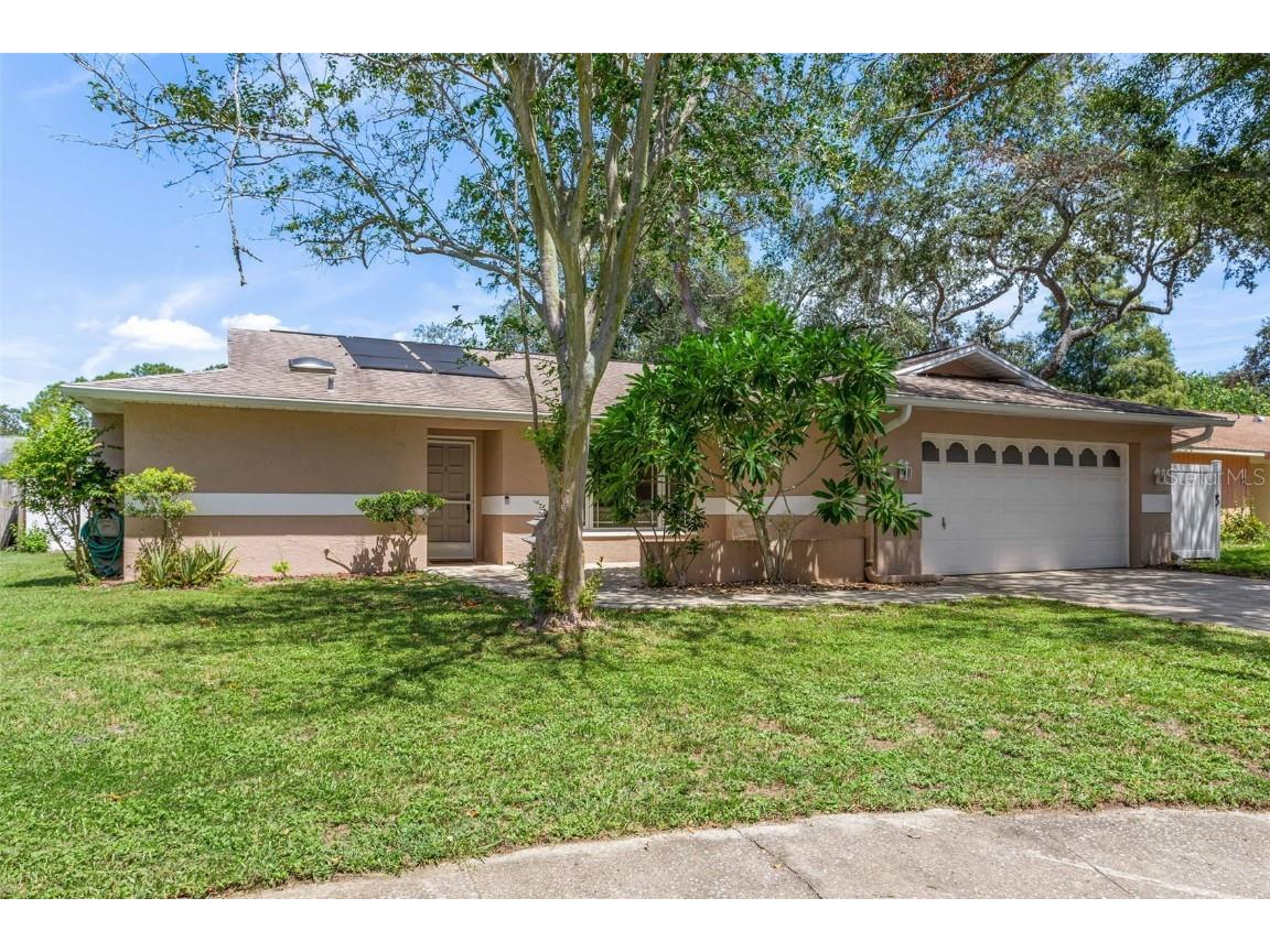 55 Harbor Oaks Circle Safety Harbor FL 34695 T3468856 image1