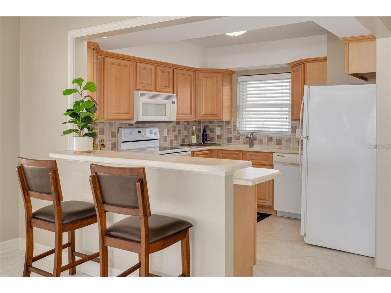 55 Harbor View Lane #301 Belleair Bluffs FL 33770 TB8483108 image6