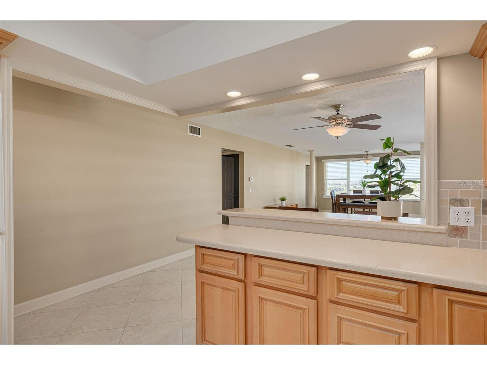 55 Harbor View Lane #301 Belleair Bluffs FL 33770 TB8483108 image8