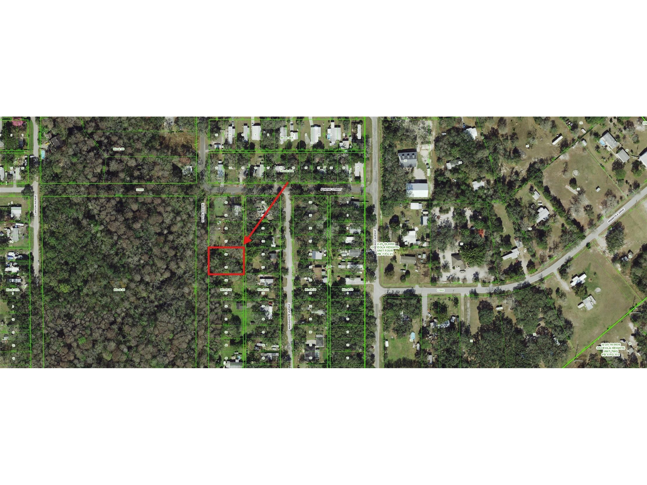 55 Marquerite Avenue New Port Richey FL 34654 W7884902 image2