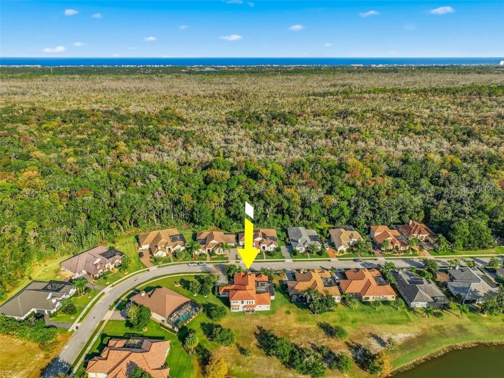 55 New Water Oak Drive Palm Coast FL 32137 FC314801 image91