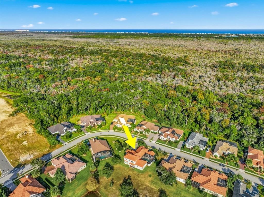 55 New Water Oak Drive Palm Coast FL 32137 FC314801 image92