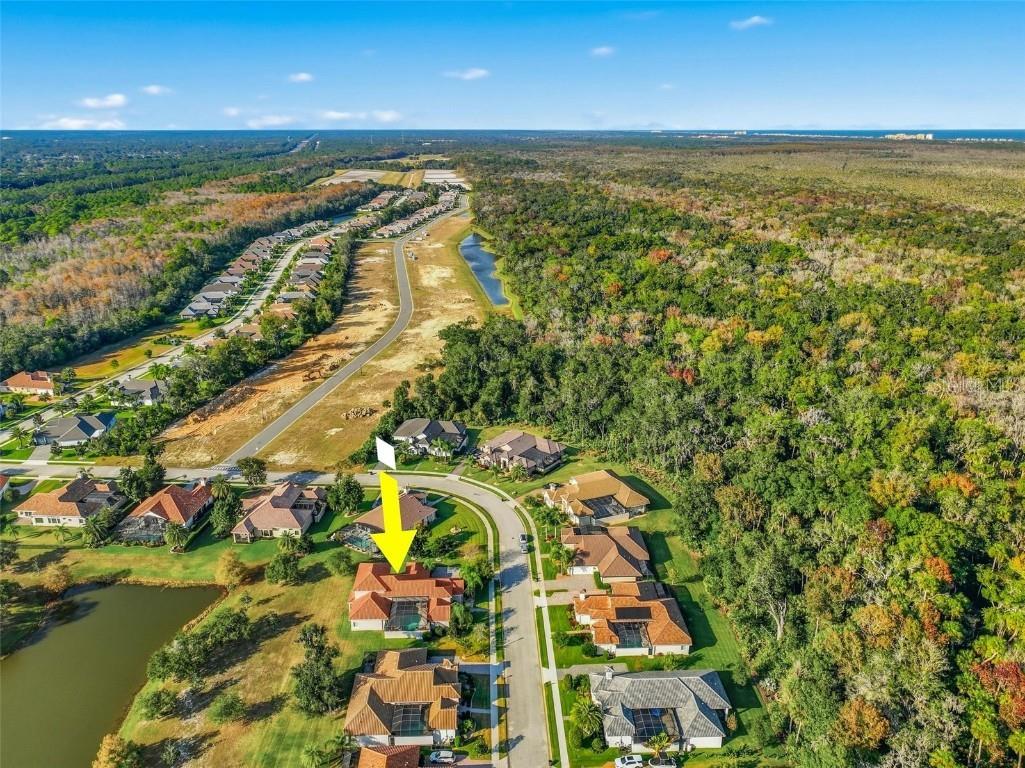 55 New Water Oak Drive Palm Coast FL 32137 FC314801 image93