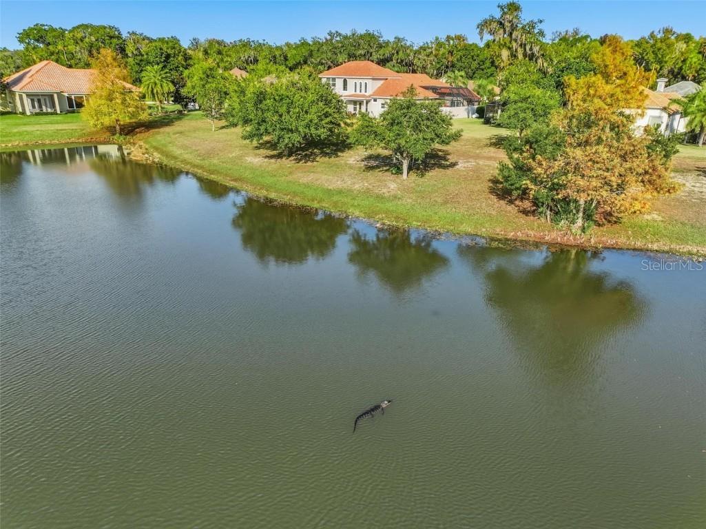 55 New Water Oak Drive Palm Coast FL 32137 FC314801 image97