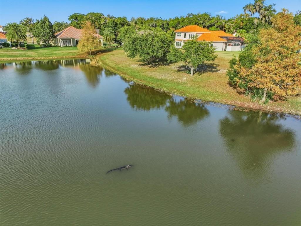 55 New Water Oak Drive Palm Coast FL 32137 FC314801 image98