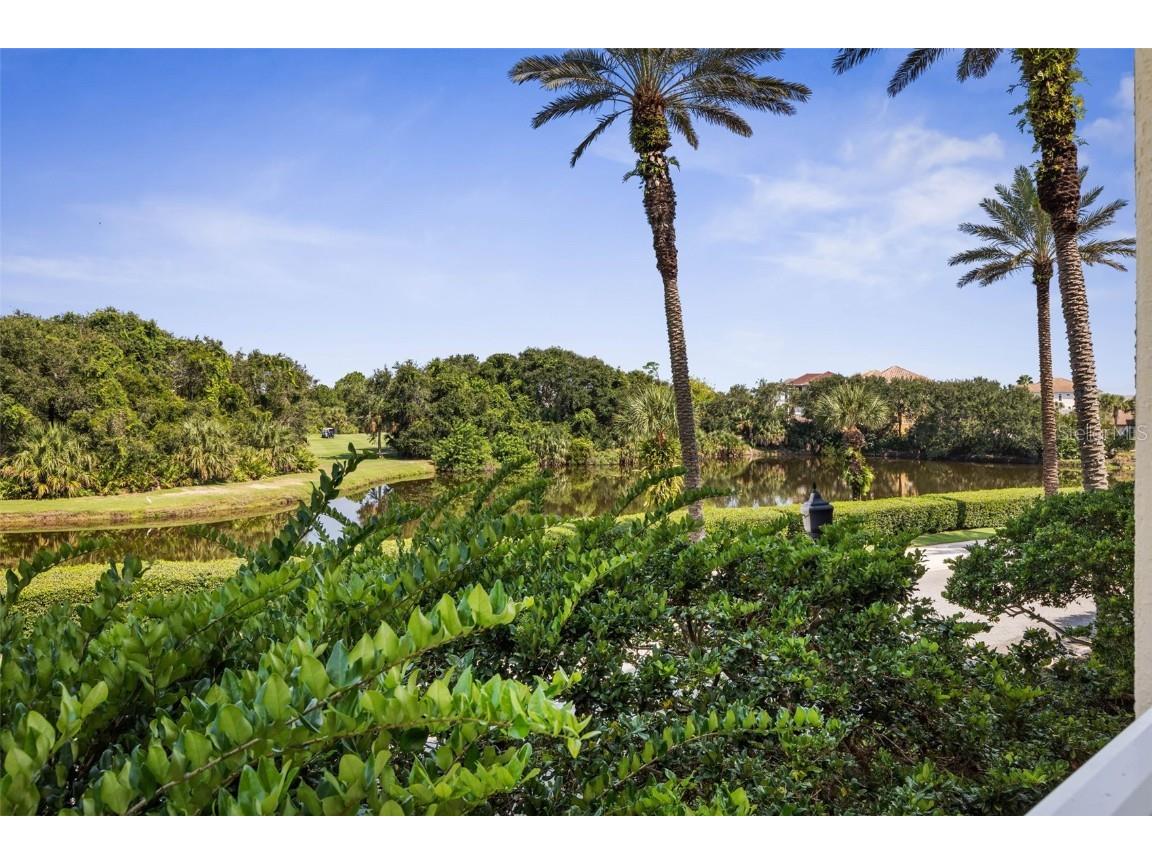 55 Ocean Crest Way #911 Palm Coast FL 32137 FC312204 image38