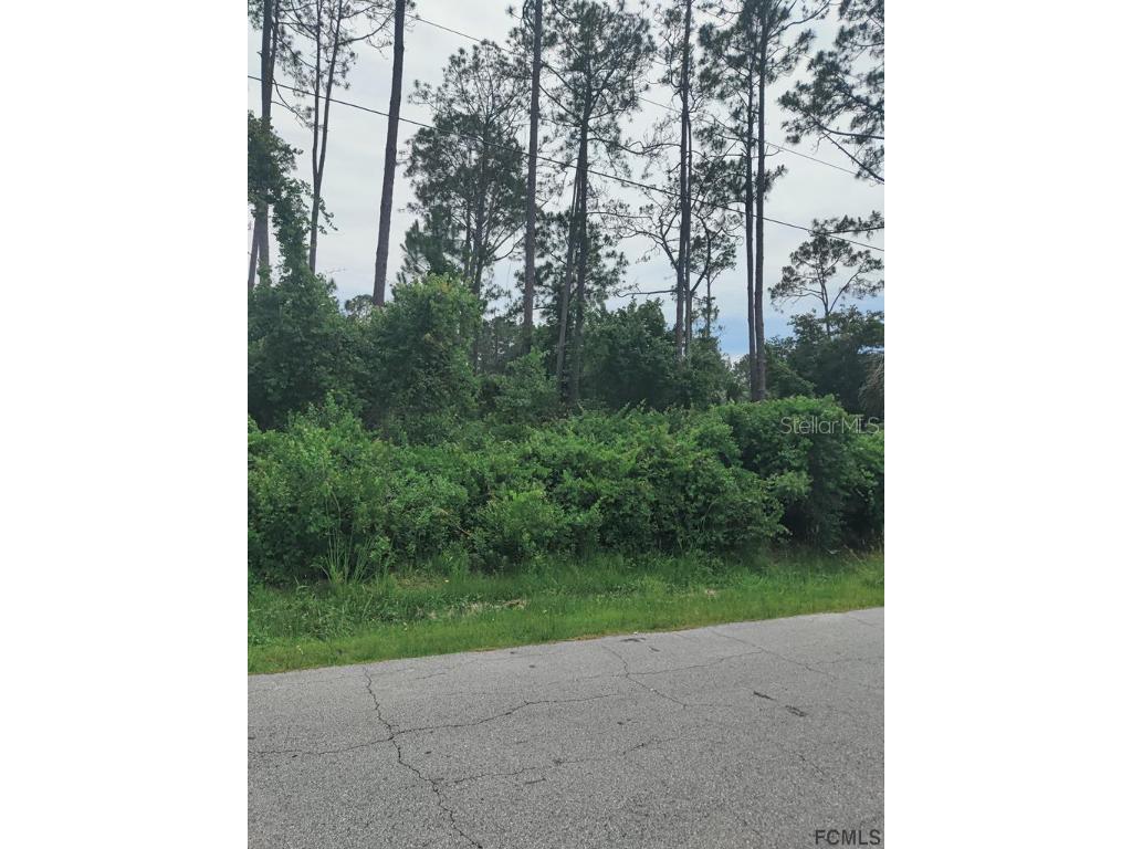 55 Reidsville Drive Palm Coast FL 32164 FC276758 image2