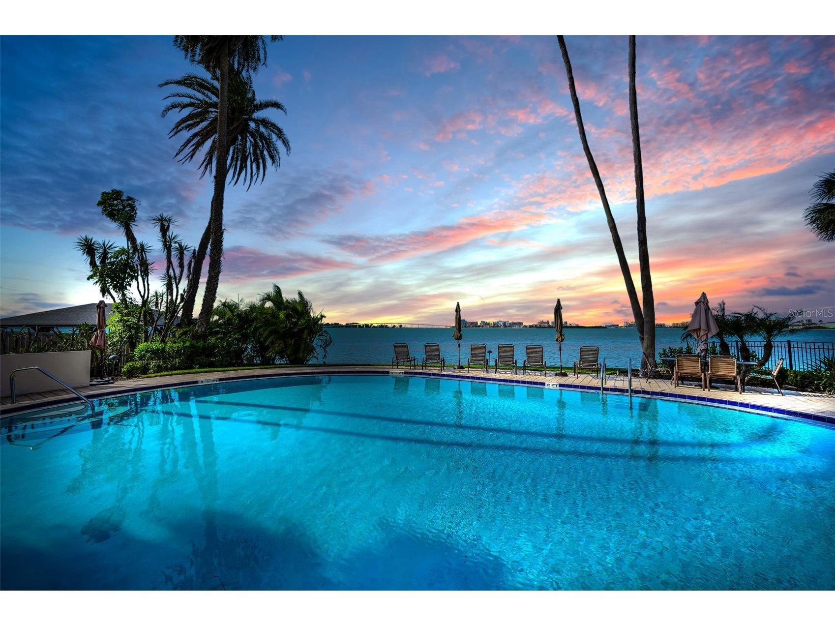 55 Rogers Street #203 Clearwater FL 33756 TB8465622 image3