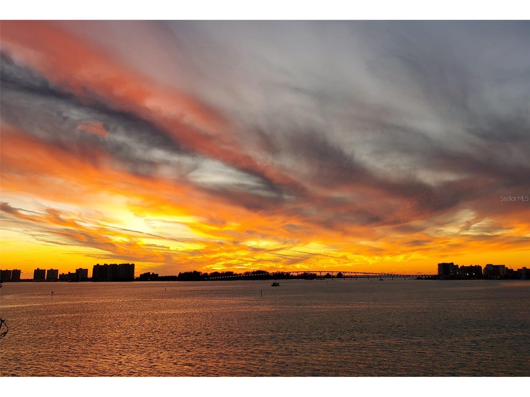 55 Rogers Street #203 Clearwater FL 33756 TB8465622 image46