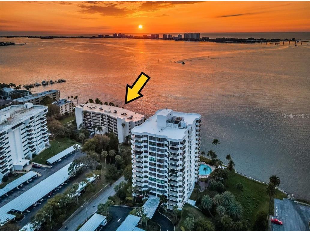 55 Rogers Street #502 Clearwater FL 33756 - CLEARWATER BAY/INTRACOASTAL TB8396117 image1