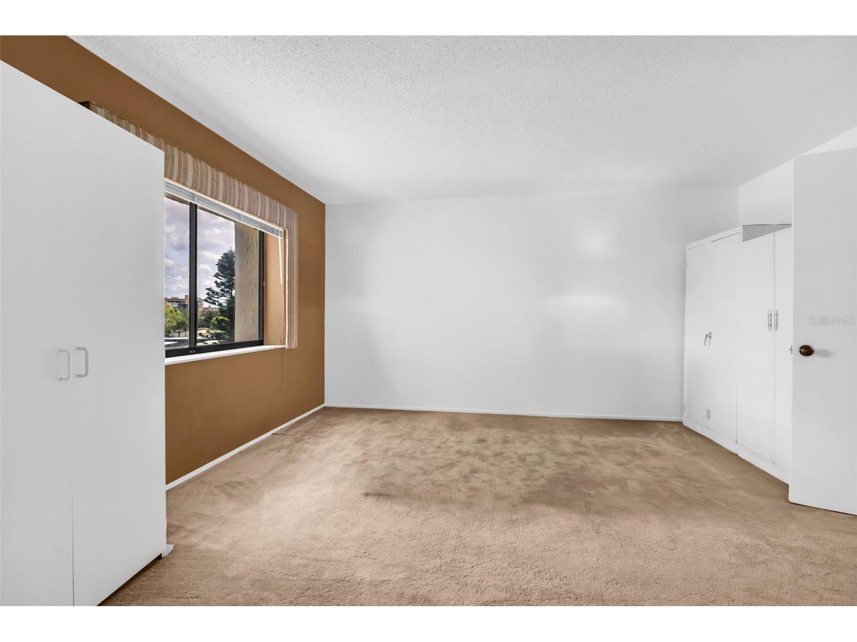 55 Rogers Street #P5 Clearwater FL 33756 TB8523606 image19