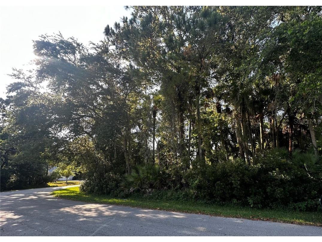 55 Sea Breeze Trail Palm Coast FL 32164 FC301248 image1