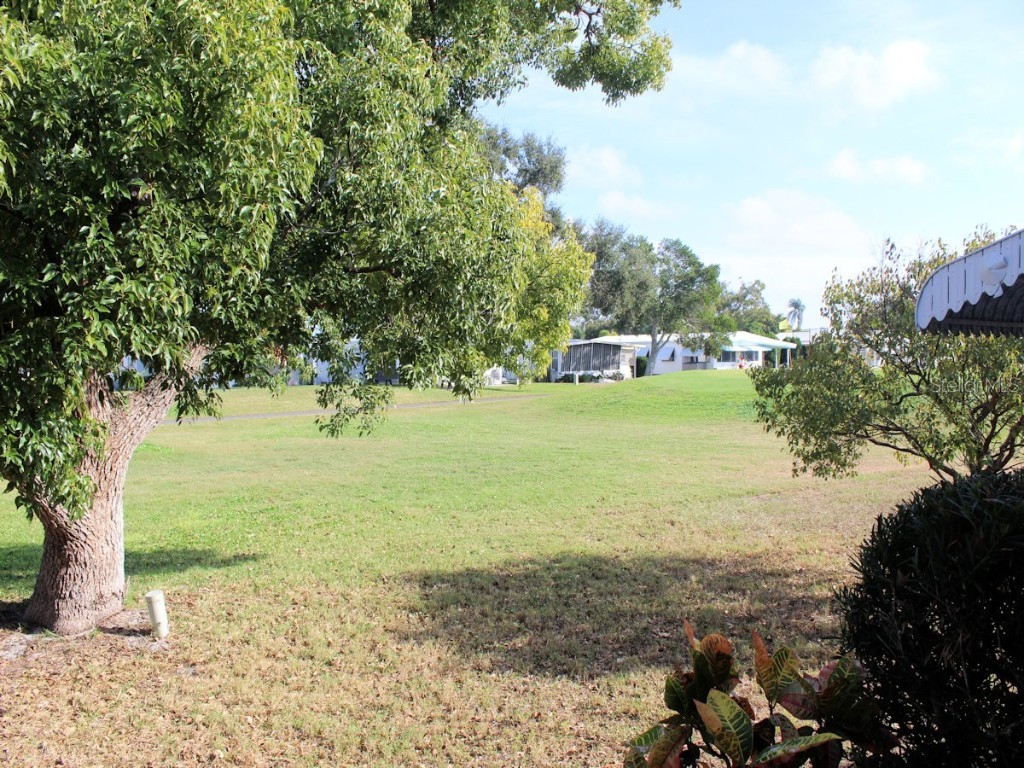 55 Thatch Palm Street W Largo FL 33770 TB8454826 image13