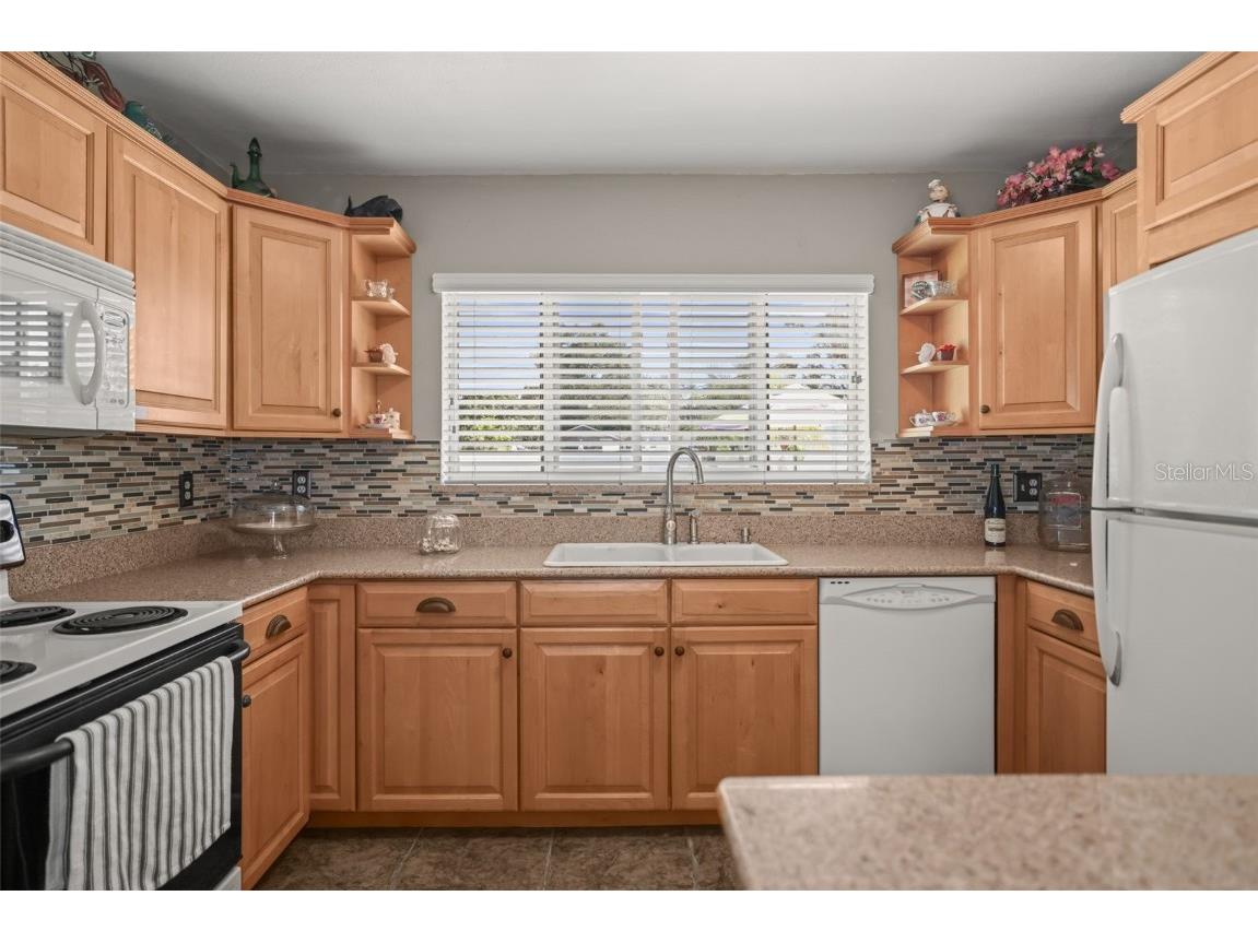 55 Valencia Drive Dunedin FL 34698 TB8444892 image19