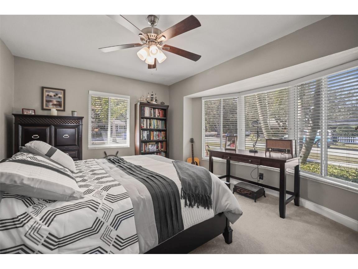 55 Valencia Drive Dunedin FL 34698 TB8444892 image29