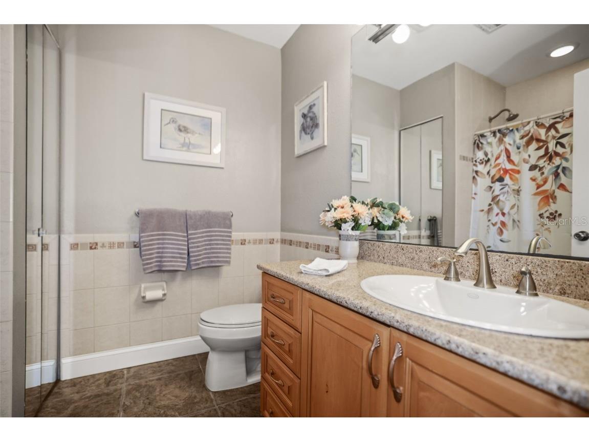 55 Valencia Drive Dunedin FL 34698 TB8444892 image36