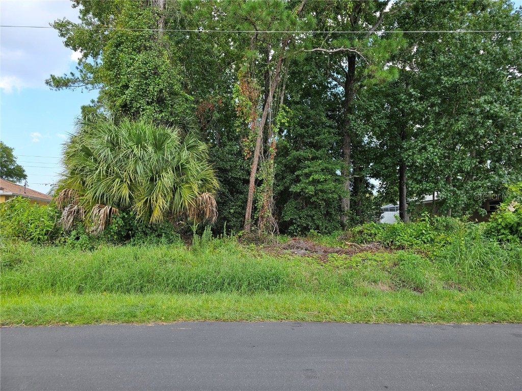 55 Woodhollow Lane Palm Coast FL 32164 FC303001 image1