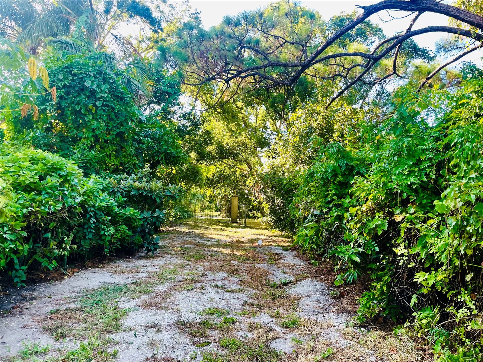 550 46th Street Sarasota FL 34234 A4668768 image41
