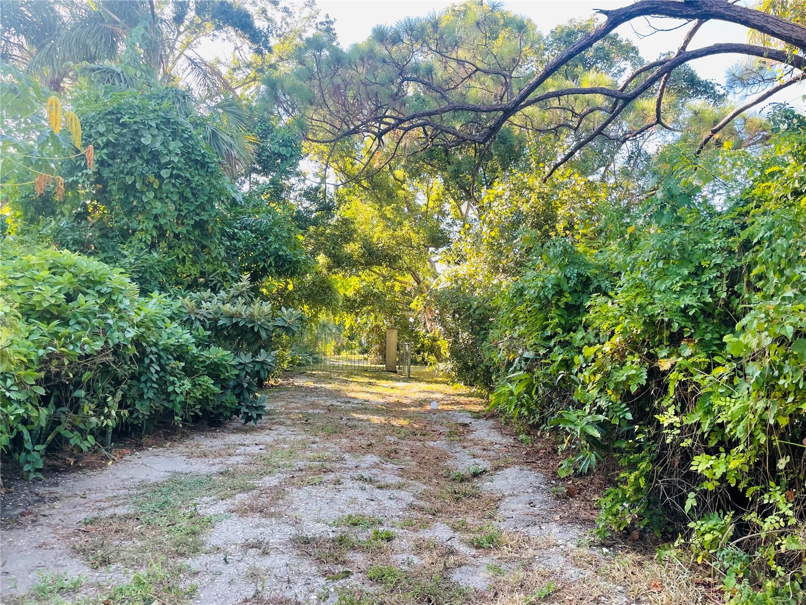 550 46th Street Sarasota FL 34234 A4668957 image13