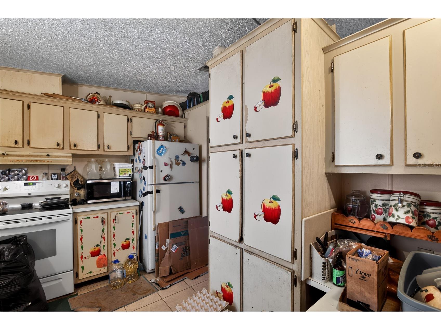 550 NE 154th Avenue Williston FL 32696 O6415447 image10