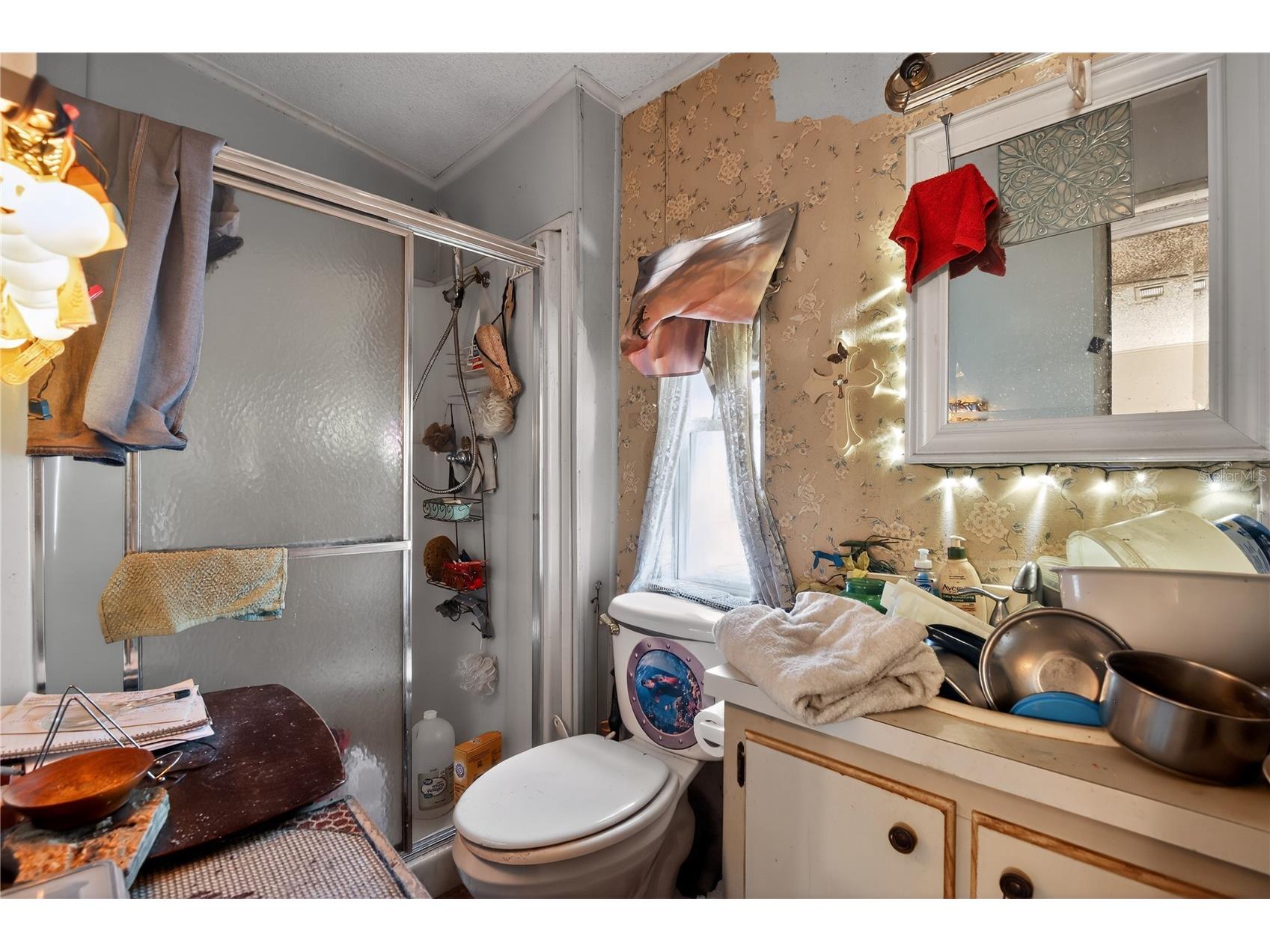 550 NE 154th Avenue Williston FL 32696 O6415447 image21