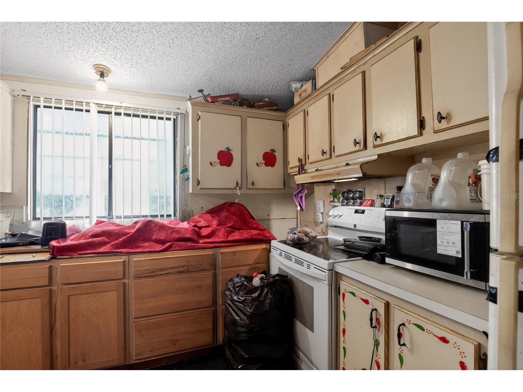 550 NE 154th Avenue Williston FL 32696 O6415447 image8