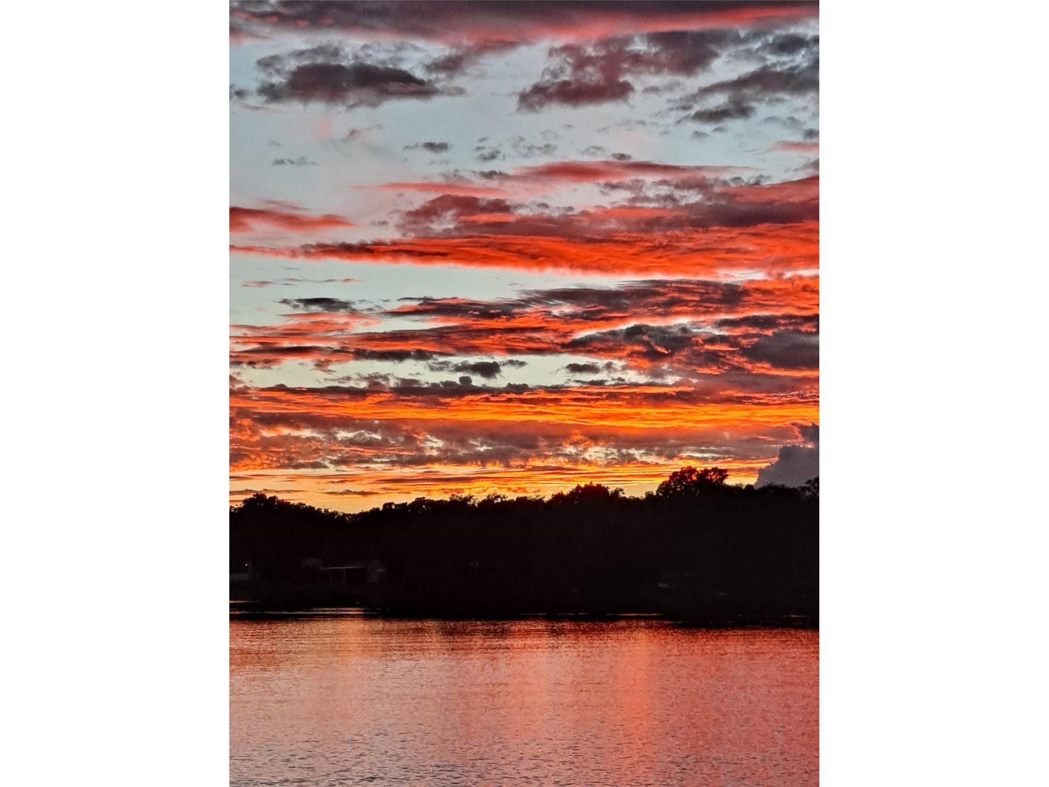 550 Orange Drive #5 Altamonte Springs FL 32701 - LAKE ORIENTA O6352281 image1