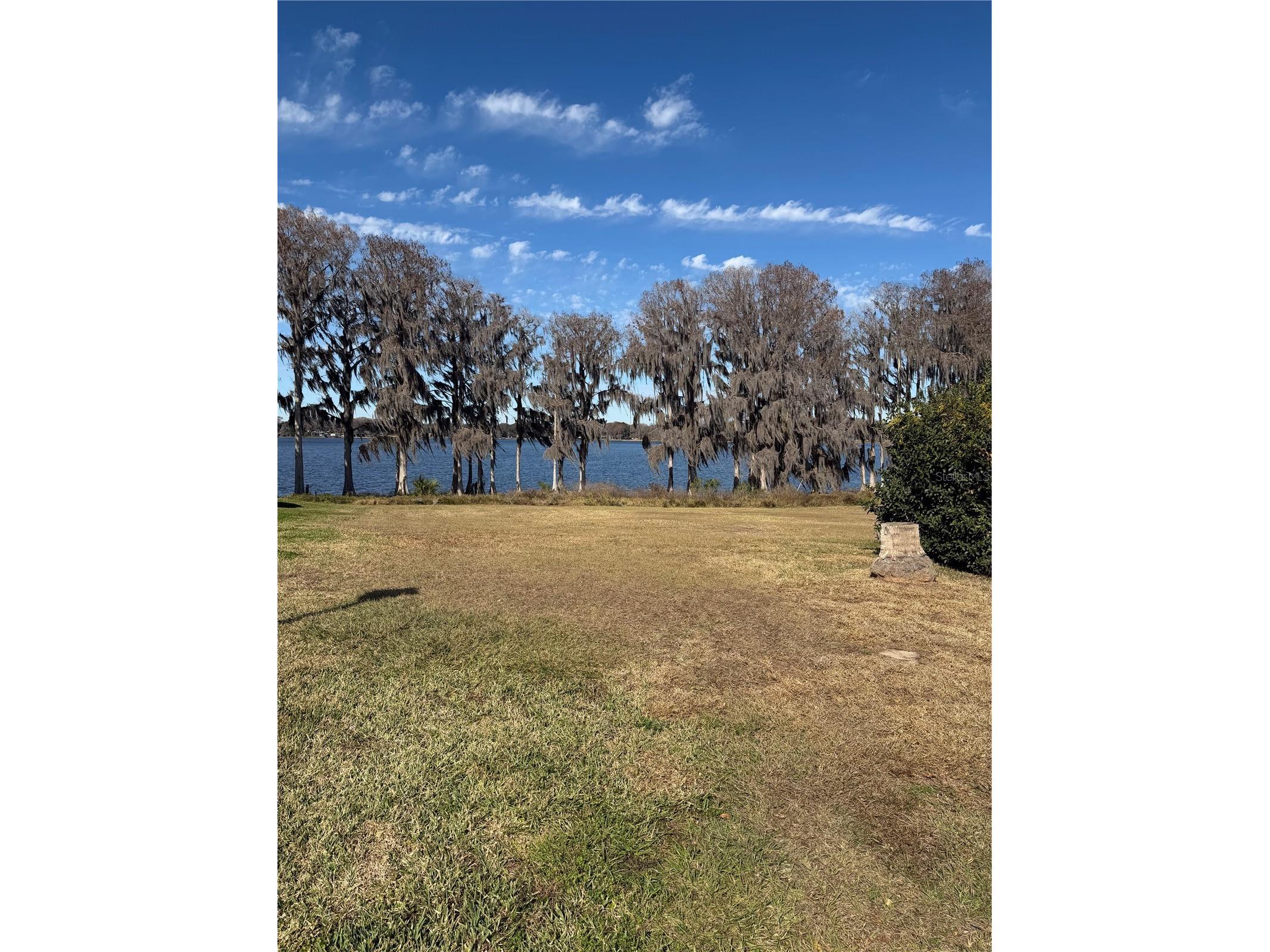 550 San Remo Circle Inverness FL 34450 - LITTLE LAKE HENDERSON W7882524 image3