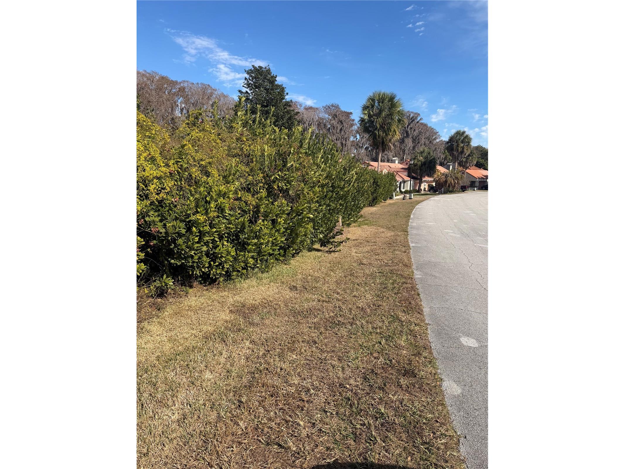 550 San Remo Circle Inverness FL 34450 - LITTLE LAKE HENDERSON W7882524 image5