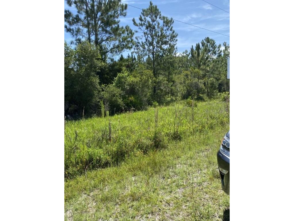 550 W River Road Palatka FL 32177 FC302505 image10