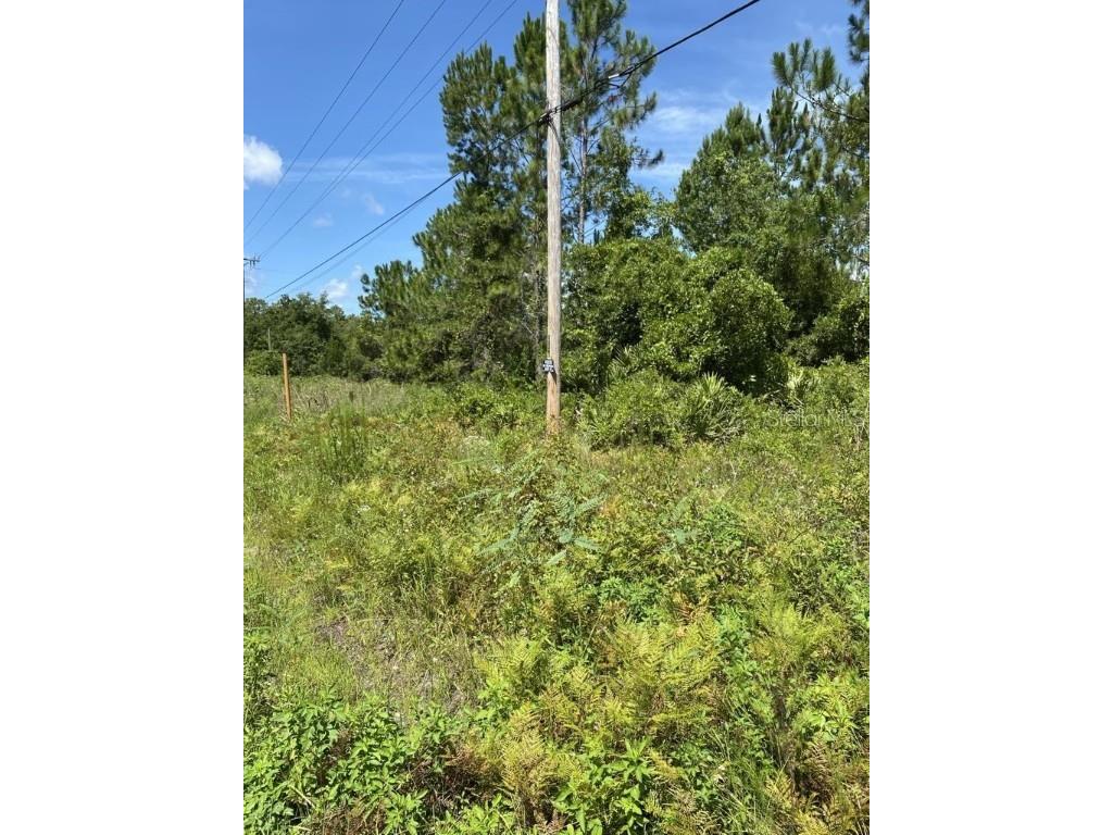 550 W River Road Palatka FL 32177 FC302505 image13