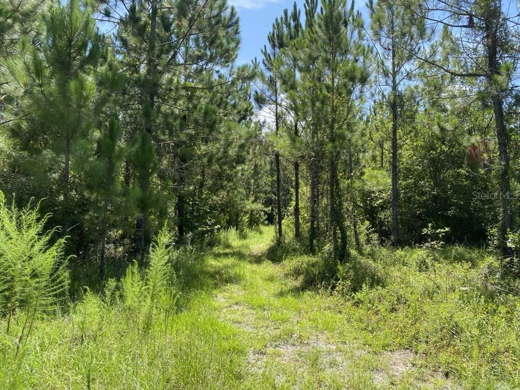 550 W River Road Palatka FL 32177 FC302505 image14