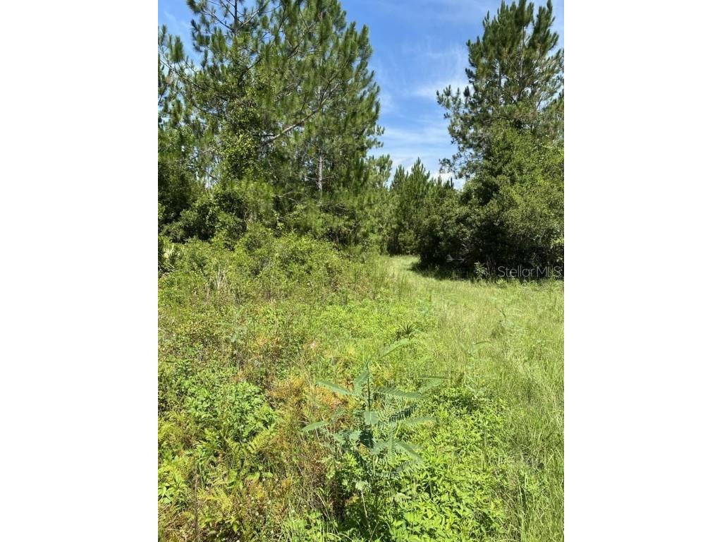 550 W River Road Palatka FL 32177 FC302505 image15