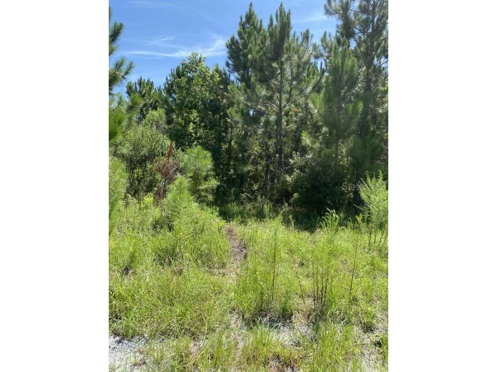 550 W River Road Palatka FL 32177 FC302505 image18