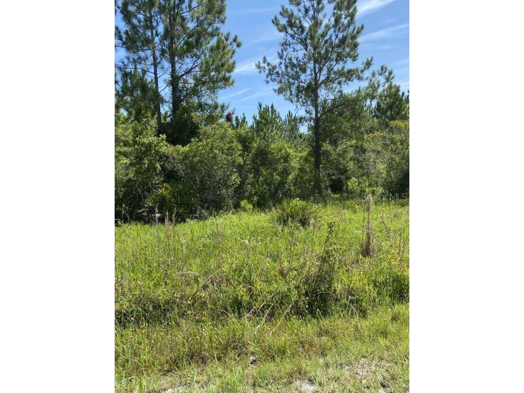 550 W River Road Palatka FL 32177 FC302505 image19