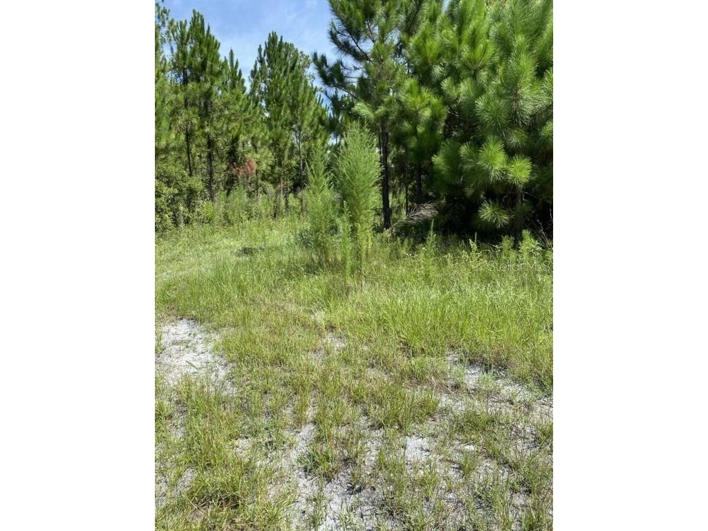 550 W River Road Palatka FL 32177 FC302505 image3