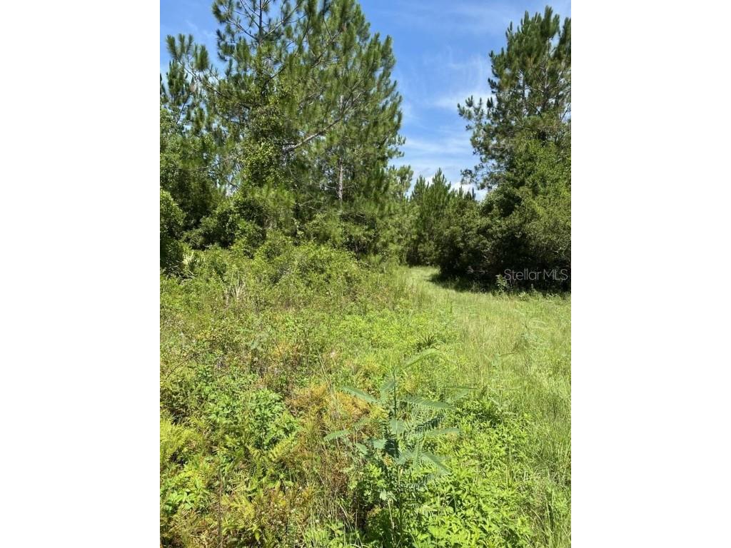 550 W River Road Palatka FL 32177 FC302505 image6