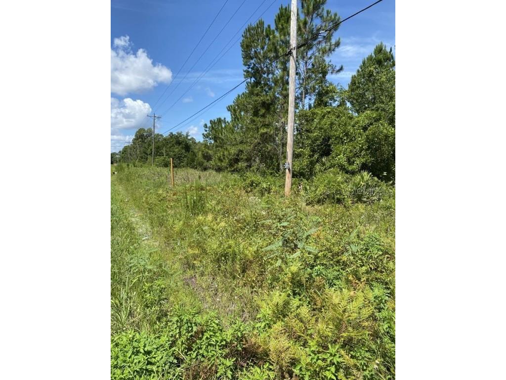 550 W River Road Palatka FL 32177 FC302505 image8