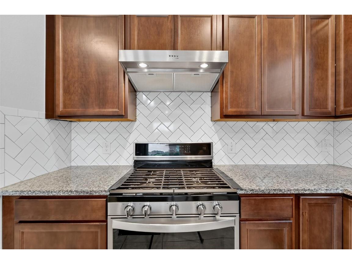 5500 Blue Crush Bend Land O Lakes FL 34638 S5132707 image16