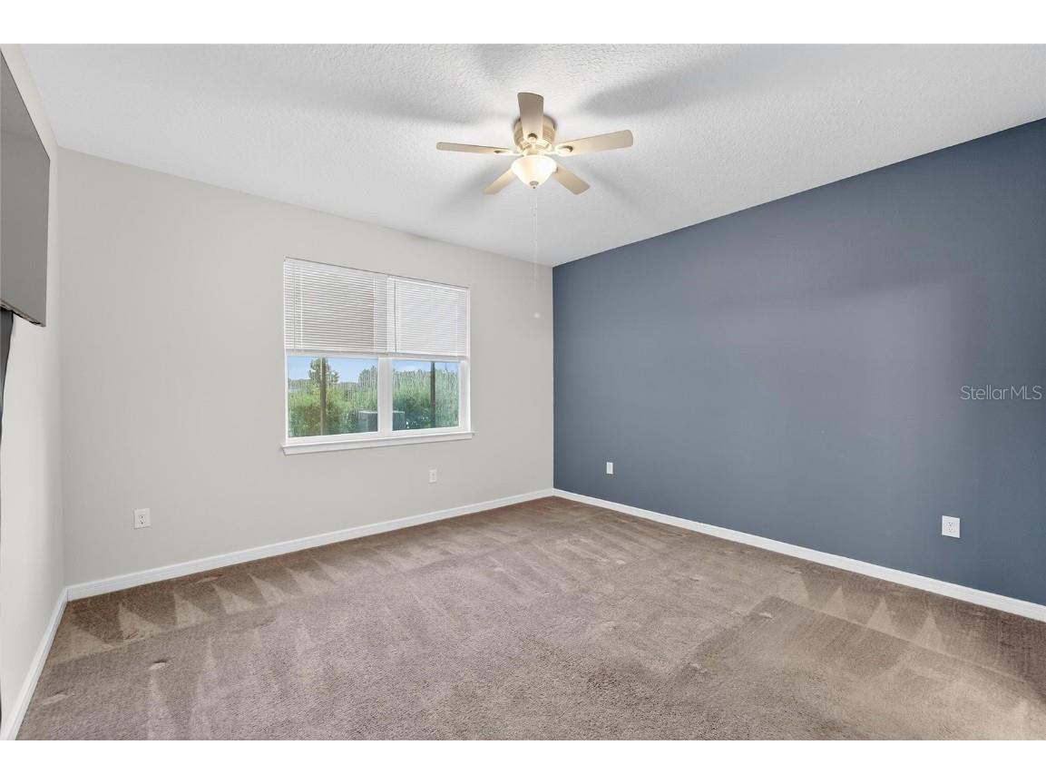 5500 Blue Crush Bend Land O Lakes FL 34638 S5132707 image24